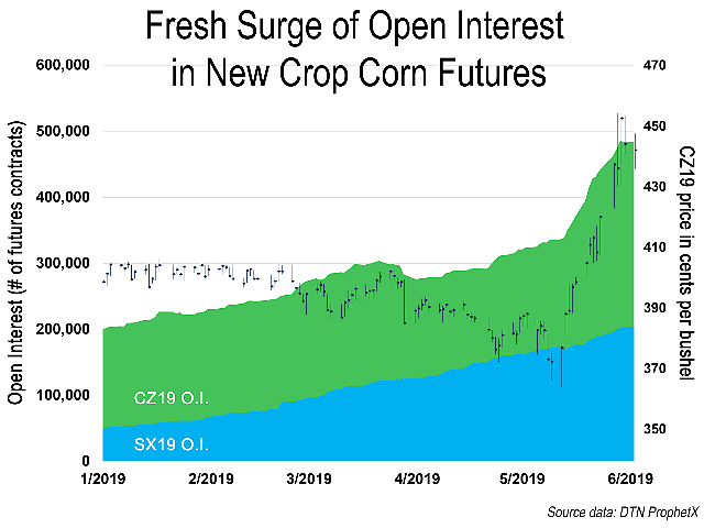 Open interest in corn futures is typically twice the open interest in soybean futures. After the rally of the past three weeks, the December corn contract&#039;s open interest has surged to 2.4 times the November soybean contract&#039;s open interest. (DTN ProphetX Chart)